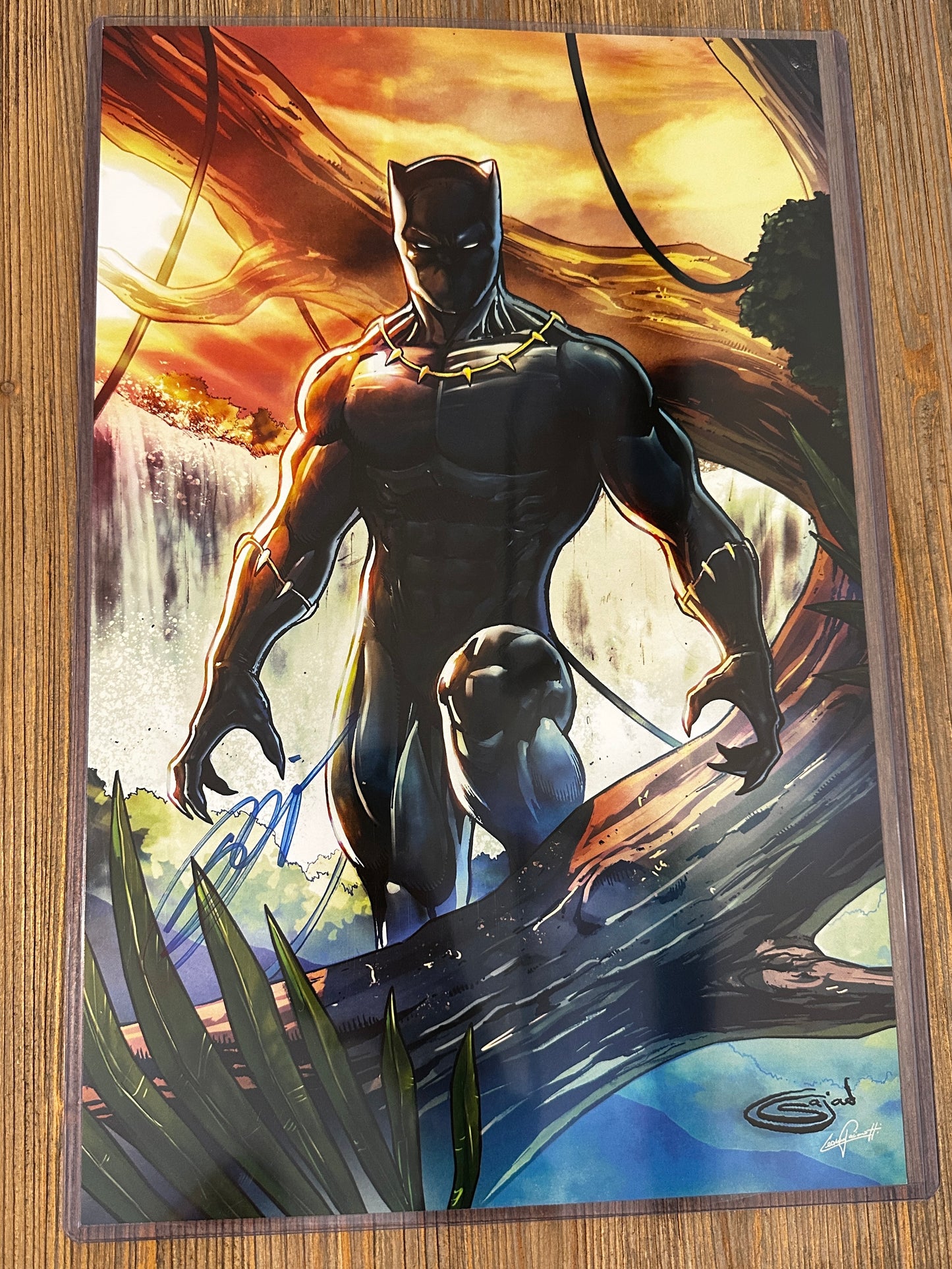 11x17 signed print black panther
