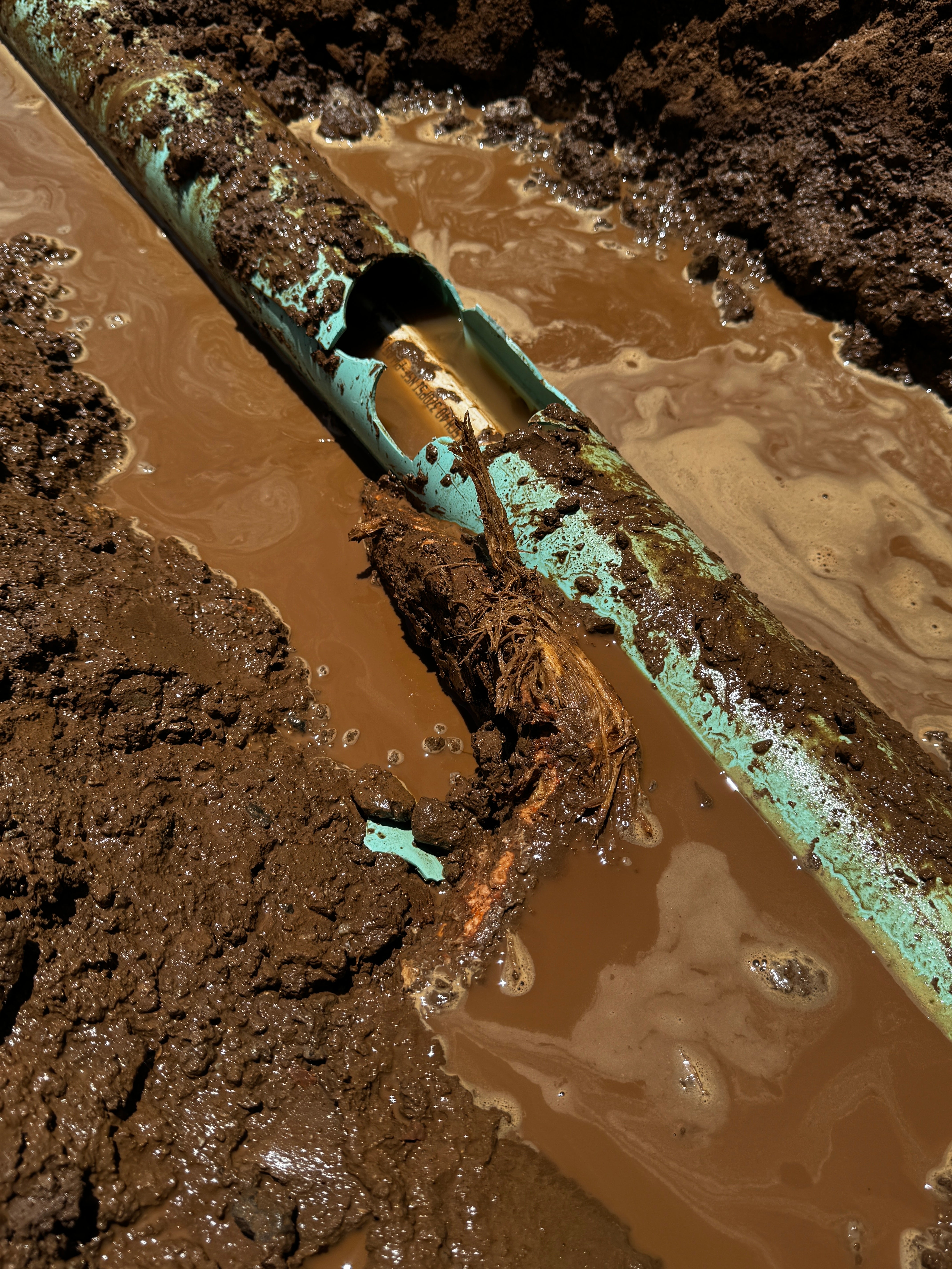 Onsite Content creation package