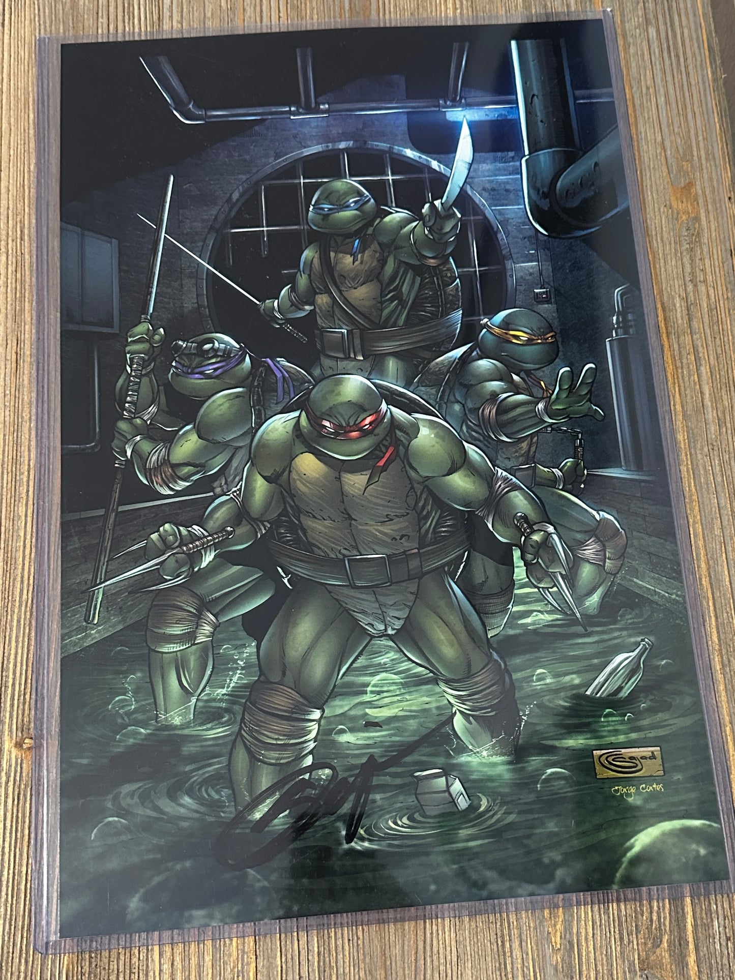 11x17 signed print Teenage mutant ninja turtles